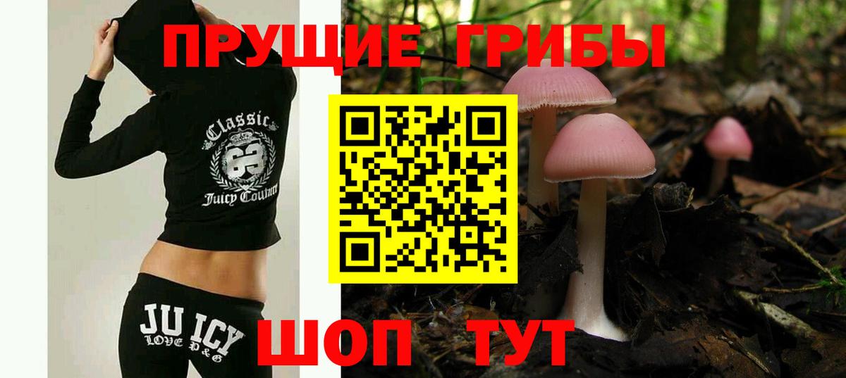 Псилоцибиновые грибы GOLDEN TEACHER  Галлюциногенные грибы мухоморы  Нурлат  Вход с VPN 