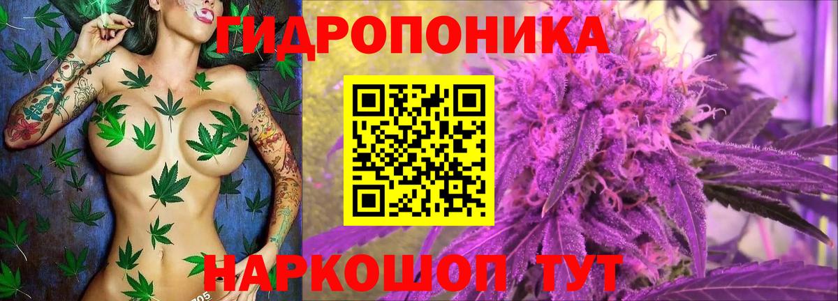 МАРИХУАНА OG Kush Нурлат
